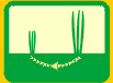 Diploid varyete